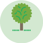 14_icons_green-03