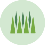 14_icons_green-11